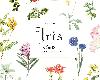 ClariS - Iris (7th Album) (<strong><font color="#D94836">2024</font></strong>-<strong><font color="#D94836">05</font></strong>-22@111MB@320K@KF/FD)(1P)